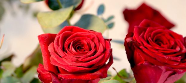 Blumen zum Valentinstag