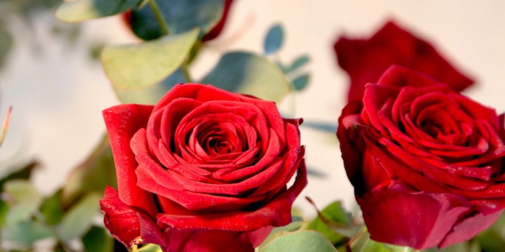 Blumen zum Valentinstag