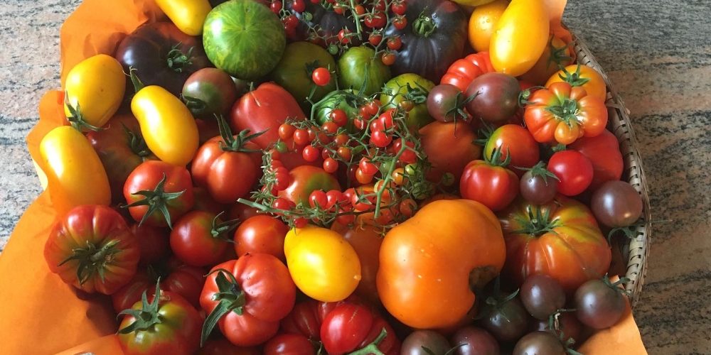Tomatenverkauf in der Gärtnerei